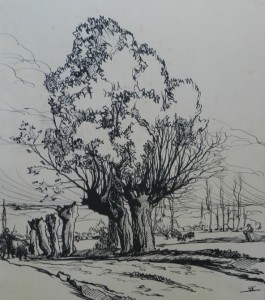 Painting by the artist Charles Sahuguet: Tree - Pen on Paper